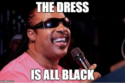 Stevie Wonder | THE DRESS IS ALL BLACK | image tagged in stevie wonder | made w/ Imgflip meme maker