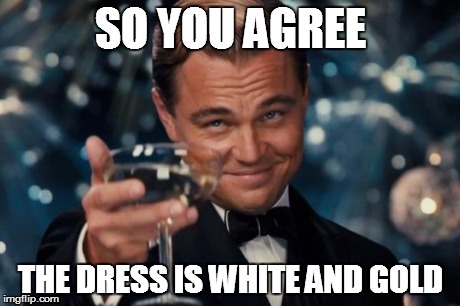 Leonardo Dicaprio Cheers | SO YOU AGREE THE DRESS IS WHITE AND GOLD | image tagged in memes,leonardo dicaprio cheers | made w/ Imgflip meme maker