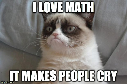 Grumpy Cat | I LOVE MATH IT MAKES PEOPLE CRY | image tagged in grumpy cat | made w/ Imgflip meme maker