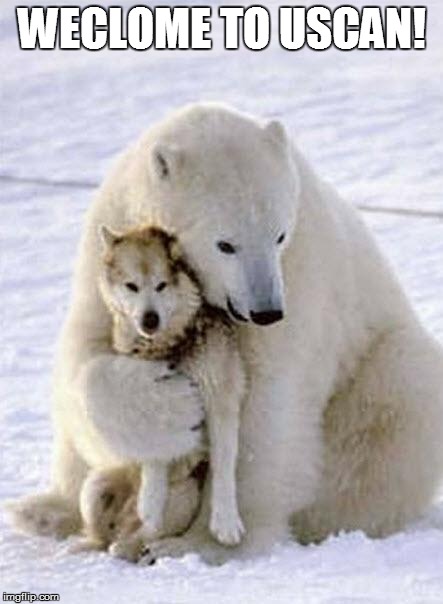 WECLOME TO USCAN! | image tagged in polar bear hugging a wolf | made w/ Imgflip meme maker