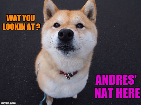 WAT YOU LOOKIN AT ? ANDRES' NAT HERE | made w/ Imgflip meme maker