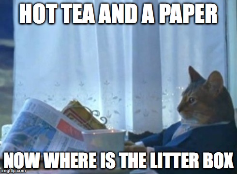 I Should Buy A Boat Cat | HOT TEA AND A PAPER NOW WHERE IS THE LITTER BOX | image tagged in memes,i should buy a boat cat | made w/ Imgflip meme maker