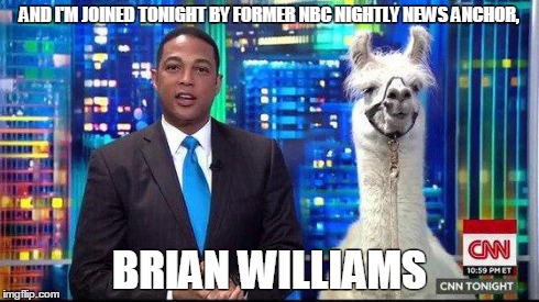 AND I'M JOINED TONIGHT BY FORMER NBC NIGHTLY NEWS ANCHOR, BRIAN WILLIAMS | image tagged in brian williams,llama | made w/ Imgflip meme maker
