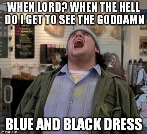 WHEN LORD? WHEN THE HELL DO I GET TO SEE THE GO***MN BLUE AND BLACK DRESS | image tagged in mallrats,the dress,white and gold,blue and black,white,gold | made w/ Imgflip meme maker