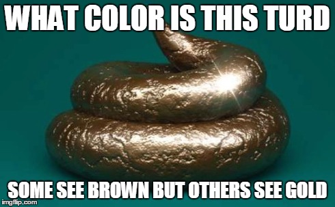 What color is this... | WHAT COLOR IS THIS TURD SOME SEE BROWN BUT OTHERS SEE GOLD | image tagged in what color is this dress | made w/ Imgflip meme maker