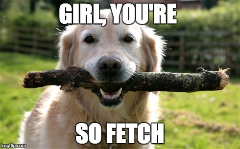 GIRL, YOU'RE SO FETCH | made w/ Imgflip meme maker