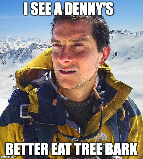 Bear Grylls | I SEE A DENNY'S BETTER EAT TREE BARK | image tagged in memes,bear grylls | made w/ Imgflip meme maker