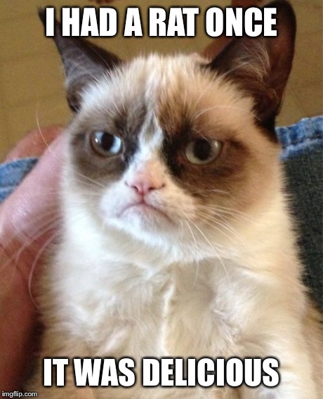 Grumpy Cat Meme | I HAD A RAT ONCE IT WAS DELICIOUS | image tagged in memes,grumpy cat | made w/ Imgflip meme maker