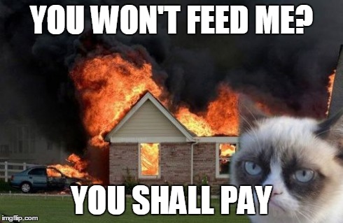 Burn Kitty | YOU WON'T FEED ME? YOU SHALL PAY | image tagged in memes,burn kitty | made w/ Imgflip meme maker