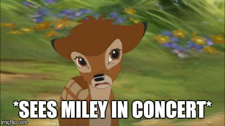 BUT WHY | *SEES MILEY IN CONCERT* | image tagged in but why | made w/ Imgflip meme maker