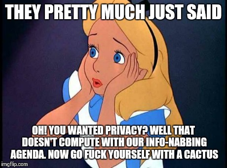 OH NO | THEY PRETTY MUCH JUST SAID OH! YOU WANTED PRIVACY? WELL THAT DOESN'T COMPUTE WITH OUR INFO-NABBING AGENDA. NOW GO F**K YOURSELF WITH A CACTU | image tagged in oh no | made w/ Imgflip meme maker