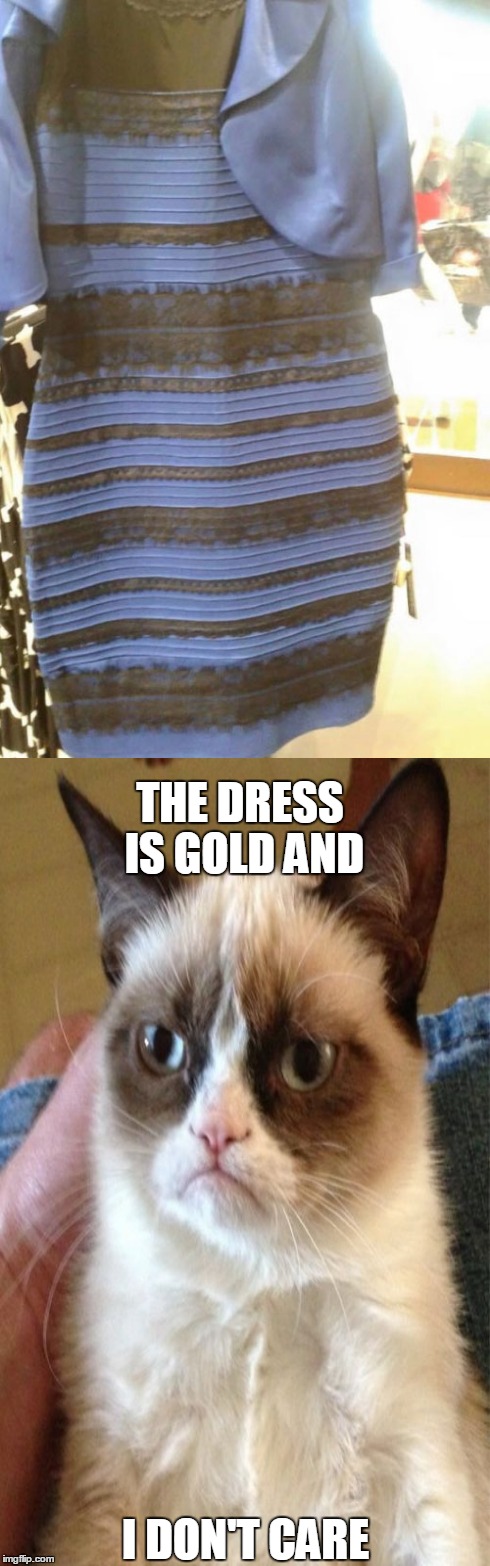THE DRESS IS GOLD AND I DON'T CARE | image tagged in the dress | made w/ Imgflip meme maker