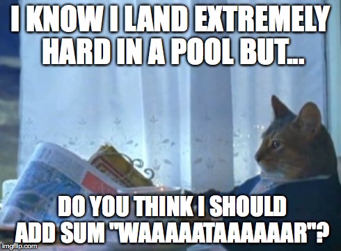 I Should Buy A Boat Cat Meme | I KNOW I LAND EXTREMELY HARD IN A POOL BUT... DO YOU THINK I SHOULD ADD SUM "WAAAAATAAAAAAR"? | image tagged in memes,i should buy a boat cat | made w/ Imgflip meme maker
