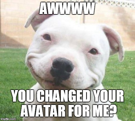 AWWWW YOU CHANGED YOUR AVATAR FOR ME? | made w/ Imgflip meme maker