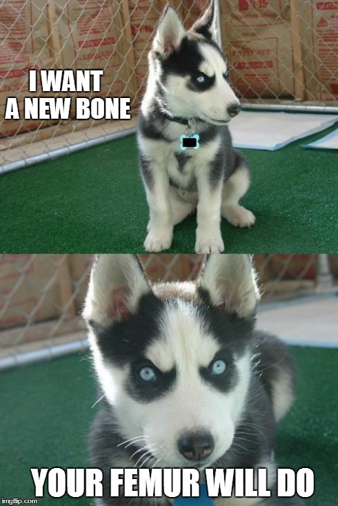 Insanity Puppy Meme | I WANT A NEW BONE YOUR FEMUR WILL DO | image tagged in memes,insanity puppy | made w/ Imgflip meme maker