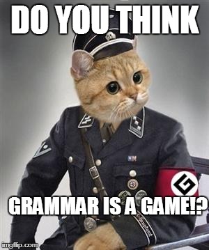 Grammar Nazi Cat | DO YOU THINK GRAMMAR IS A GAME!? | image tagged in grammar nazi cat | made w/ Imgflip meme maker