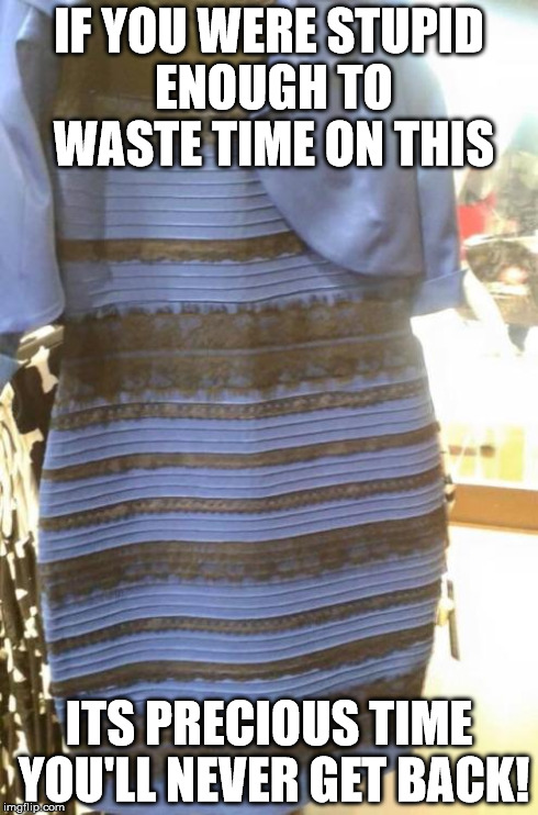 DRESS | IF YOU WERE STUPID ENOUGH TO WASTE TIME ON THIS ITS PRECIOUS TIME YOU'LL NEVER GET BACK! | image tagged in dress | made w/ Imgflip meme maker