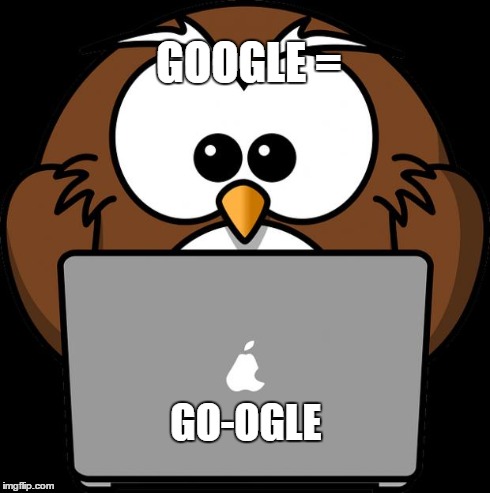 owl laptop | GOOGLE = GO-OGLE | image tagged in owl laptop | made w/ Imgflip meme maker