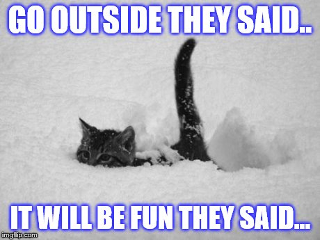 Cat in the snow | GO OUTSIDE THEY SAID.. IT WILL BE FUN THEY SAID... | image tagged in snow cat,grumpy cat | made w/ Imgflip meme maker