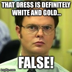 THAT DRESS IS DEFINITELY WHITE AND GOLD... FALSE! | image tagged in thedress,false,dwight schrute,the office | made w/ Imgflip meme maker