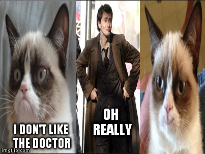 Nobody can resist the doctor | OH REALLY I DON'T LIKE THE DOCTOR | image tagged in doctor who,grumpy cat | made w/ Imgflip meme maker