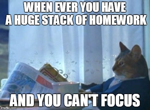 I Should Buy A Boat Cat Meme | WHEN EVER YOU HAVE A HUGE STACK OF HOMEWORK AND YOU CAN'T FOCUS | image tagged in memes,i should buy a boat cat | made w/ Imgflip meme maker