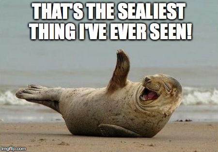 Sealiest Thing | THAT'S THE SEALIEST THING I'VE EVER SEEN! | image tagged in seal,sealiest,funny,lol | made w/ Imgflip meme maker