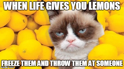 Grumpy Cat lemons | WHEN LIFE GIVES YOU LEMONS FREEZE THEM AND THROW THEM AT SOMEONE | image tagged in grumpy cat lemons | made w/ Imgflip meme maker