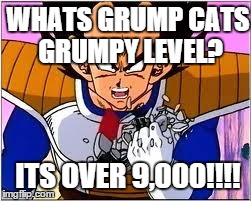 Its OVER 9000! | WHATS GRUMP CATS GRUMPY LEVEL? ITS OVER 9,000!!!! | image tagged in its over 9000 | made w/ Imgflip meme maker