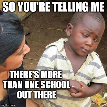 Third World Skeptical Kid Meme | SO YOU'RE TELLING ME THERE'S MORE THAN ONE SCHOOL OUT THERE | image tagged in memes,third world skeptical kid | made w/ Imgflip meme maker