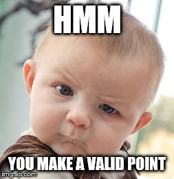 HMM YOU MAKE A VALID POINT | image tagged in memes,skeptical baby | made w/ Imgflip meme maker