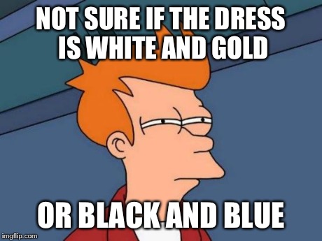 Futurama Fry Meme | NOT SURE IF THE DRESS IS WHITE AND GOLD OR BLACK AND BLUE | image tagged in memes,futurama fry | made w/ Imgflip meme maker