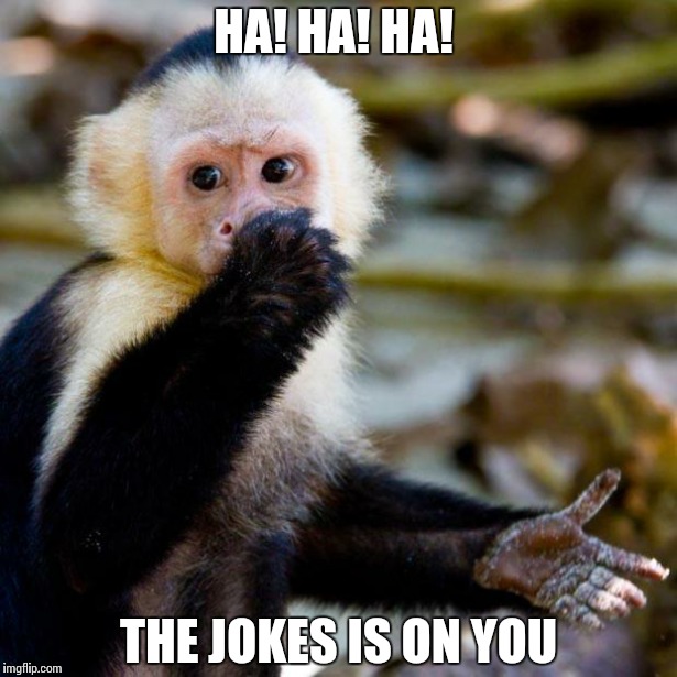 HA! HA! HA! THE JOKES IS ON YOU | image tagged in monkey | made w/ Imgflip meme maker