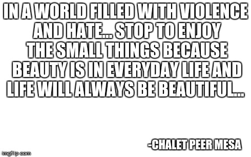 meme styled quotes  | IN A WORLD FILLED WITH VIOLENCE AND HATE... STOP TO ENJOY THE SMALL THINGS BECAUSE BEAUTY IS IN EVERYDAY LIFE AND LIFE WILL ALWAYS BE BEAUTI | image tagged in quotes,quote,memes,imgflip | made w/ Imgflip meme maker