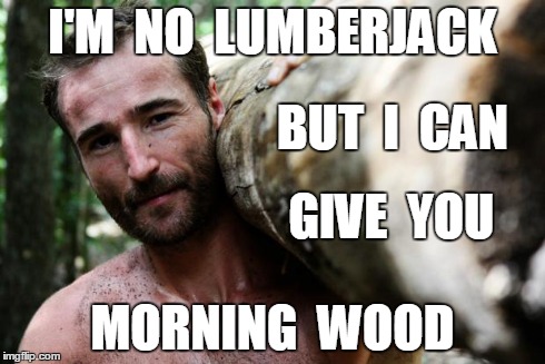 I'M  NO  LUMBERJACK MORNING  WOOD BUT  I  CAN GIVE  YOU | image tagged in woodsman | made w/ Imgflip meme maker