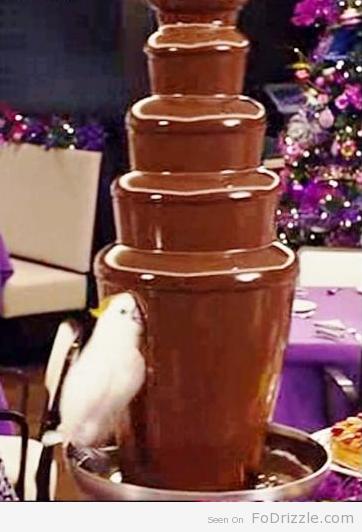 Chocolate Fountain Blank Meme Template