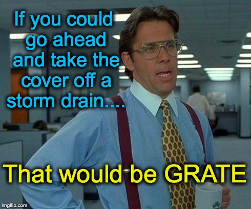 That Would Be Great | If you could go ahead and take the cover off a storm drain.... That would be GRATE | image tagged in memes,that would be great | made w/ Imgflip meme maker