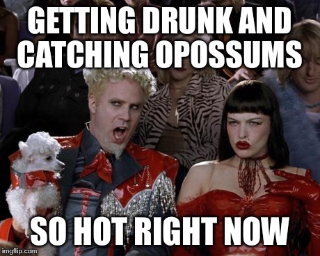 Mugatu So Hot Right Now | GETTING DRUNK AND CATCHING OPOSSUMS SO HOT RIGHT NOW | image tagged in memes,mugatu so hot right now,AdviceAnimals | made w/ Imgflip meme maker