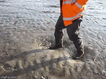 quicksand gif