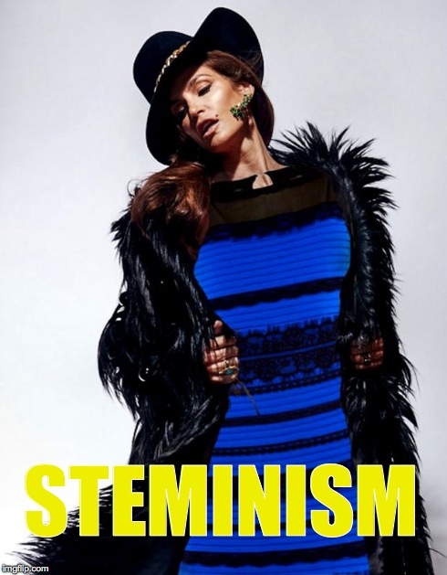STEMINISM | image tagged in steminism | made w/ Imgflip meme maker