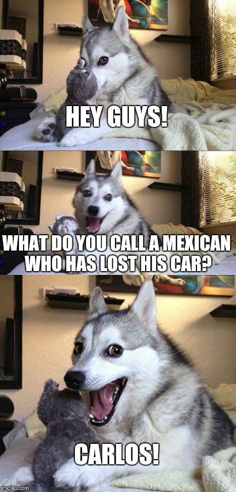 Bad Pun Dog | HEY GUYS! WHAT DO YOU CALL A MEXICAN WHO HAS LOST HIS CAR? CARLOS! | image tagged in memes,bad pun dog | made w/ Imgflip meme maker