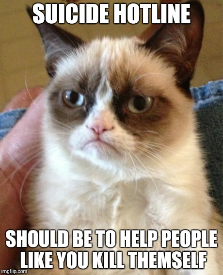 Grumpy Cat Meme | SUICIDE HOTLINE SHOULD BE TO HELP PEOPLE LIKE YOU KILL THEMSELF | image tagged in memes,grumpy cat | made w/ Imgflip meme maker