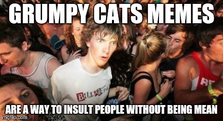 Sudden Clarity Clarence Meme | GRUMPY CATS MEMES ARE A WAY TO INSULT PEOPLE WITHOUT BEING MEAN | image tagged in memes,sudden clarity clarence | made w/ Imgflip meme maker