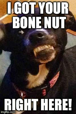 I GOT YOUR BONE NUT RIGHT HERE! | made w/ Imgflip meme maker