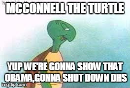 MCCONNELL THE TURTLE YUP WE'RE GONNA SHOW THAT OBAMA,GONNA SHUT DOWN DHS | image tagged in congress,mitch mcconnell,homeland security,dhs,lzay,republican | made w/ Imgflip meme maker