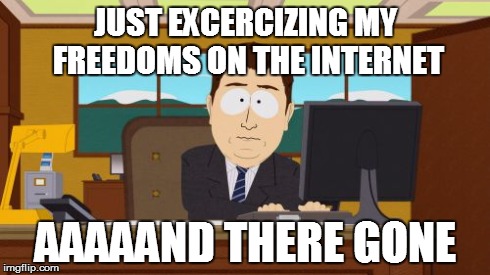 Aaaaand Its Gone | JUST EXCERCIZING MY FREEDOMS ON THE INTERNET AAAAAND THERE GONE | image tagged in memes,aaaaand its gone | made w/ Imgflip meme maker