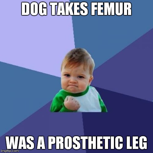 Success Kid Meme | DOG TAKES FEMUR WAS A PROSTHETIC LEG | image tagged in memes,success kid | made w/ Imgflip meme maker