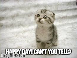 Sad Cat | HAPPY DAY!
CAN'T YOU TELL? | image tagged in memes,sad cat | made w/ Imgflip meme maker