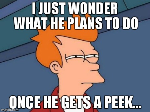 Futurama Fry Meme | I JUST WONDER WHAT HE PLANS TO DO ONCE HE GETS A PEEK... | image tagged in memes,futurama fry | made w/ Imgflip meme maker