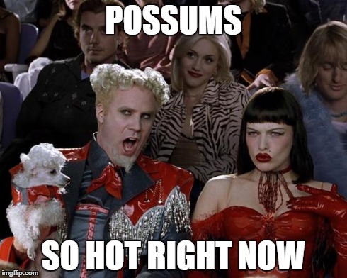 Mugatu So Hot Right Now | POSSUMS SO HOT RIGHT NOW | image tagged in memes,mugatu so hot right now | made w/ Imgflip meme maker